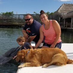 Dog And Dolphin Friendship