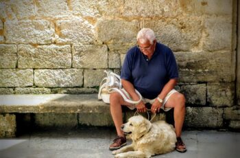 As a result, the dog saves life of neighbor.