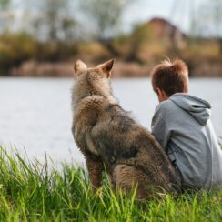 Kid Saves His Dog